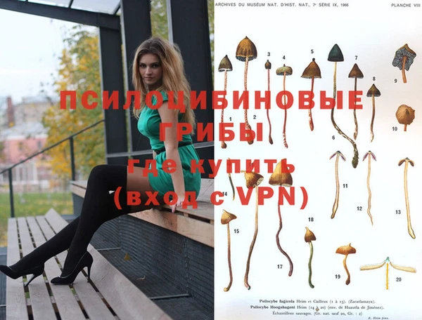 спиды Баксан