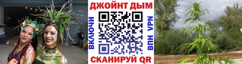 Бошки Шишки Amnesia  Курчалой 